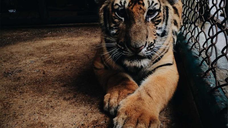 Best Dedicated Servers for Small Businesses in 2025: Top 7 Picks - illustration 1