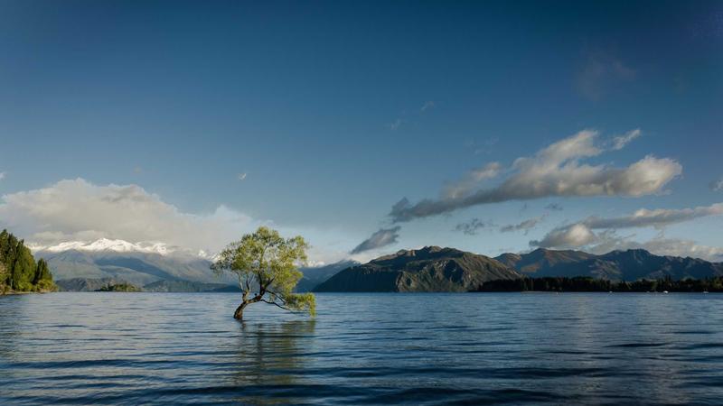 Best Dedicated Servers for Small Businesses in 2025: Top 7 Picks - illustration 2