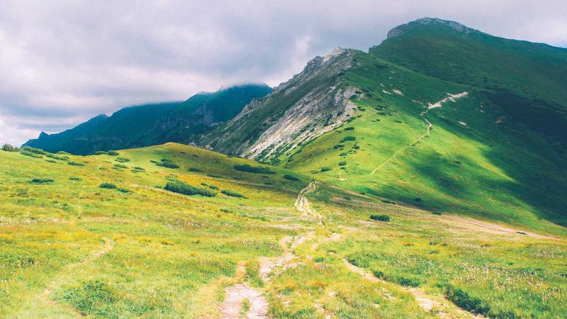 Best Shared Hosting Providers for Small Business Websites in 2025 - illustration 2