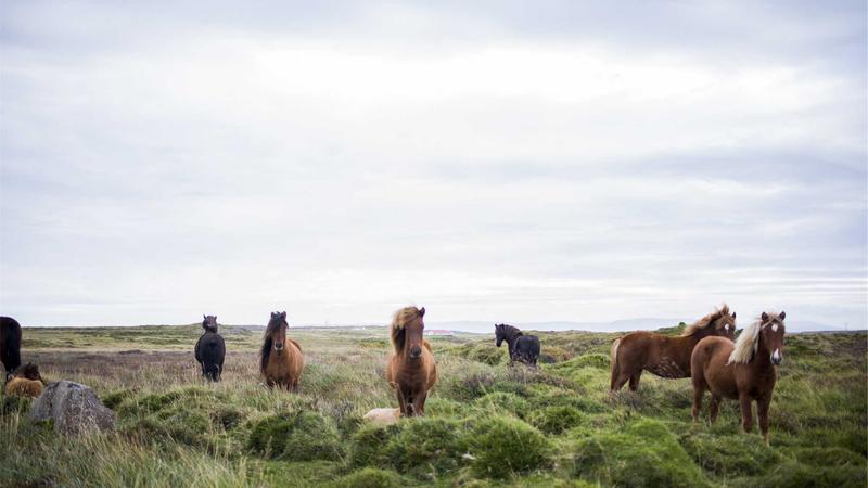 Best Shared Hosting Providers for Small Business Websites in 2025 - illustration 3