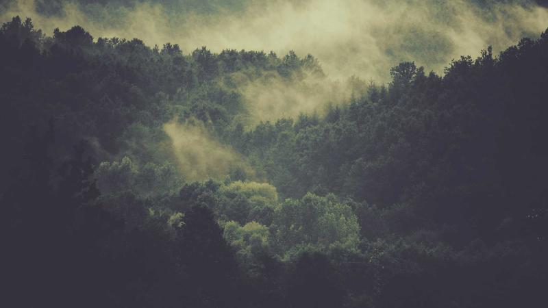 Best Web Hosting for Beginners in 2026: A Complete Guide - illustration 2