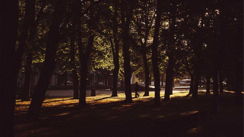 Best Web Hosting for Small Business in 2026: Top 10 Picks - illustration 1