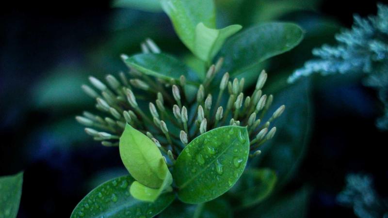 Best Web Hosting for Small Business in 2026: Top 10 Picks - illustration 3