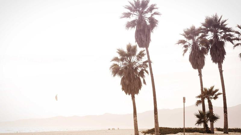 Best Web Hosting - illustration 1