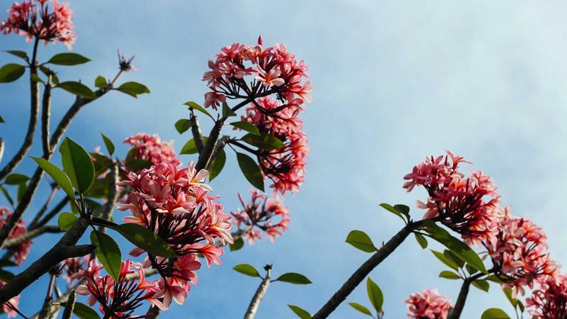 Bluehost Shared Hosting Review 2026: Features, Speed & Support - illustration 2