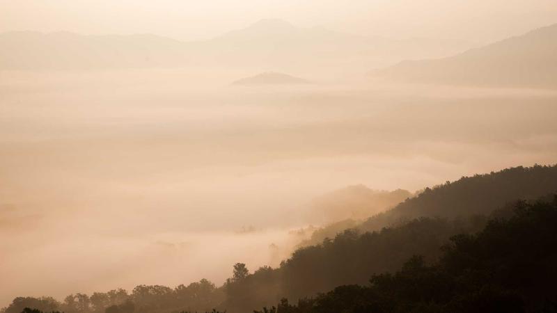 Budget Hosting - illustration 3