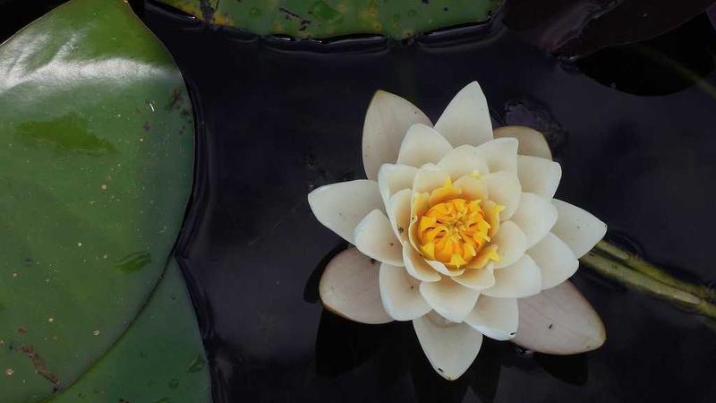 Budget Hosting - illustration 3