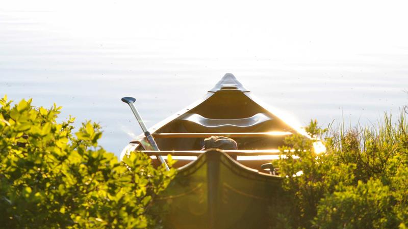 Cheap Web Hosting with Free Domain: Best Deals Compared - illustration 2