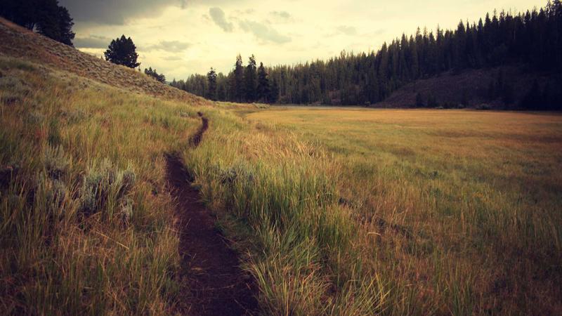 Cheapest WordPress Hosting Per Month: Best Budget Options in 2026 - illustration 2