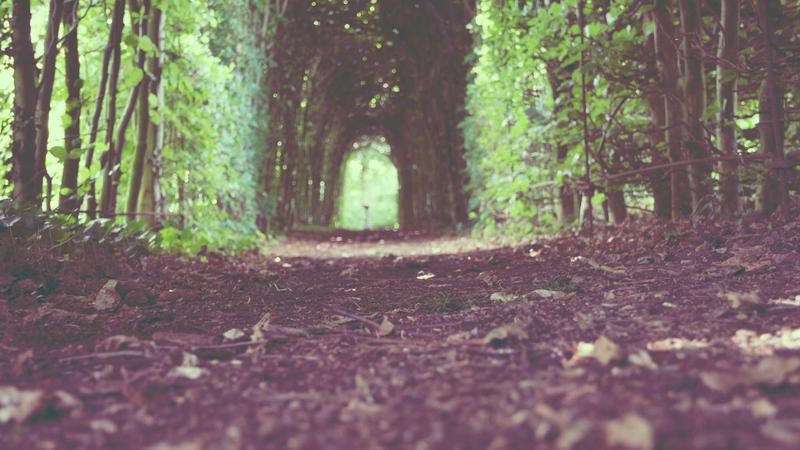 Cheapest WordPress Hosting Per Month: Best Budget Options in 2026 - illustration 3