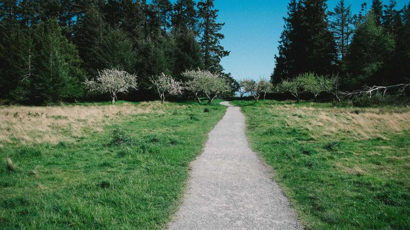 Cloud Hosting - illustration 2