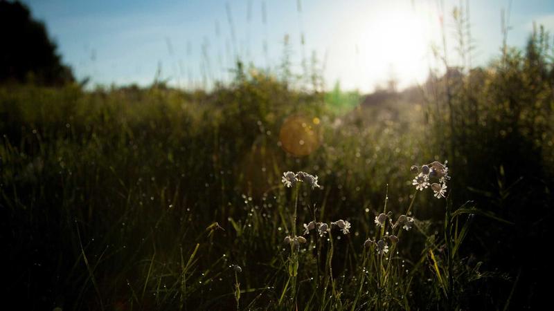 Cloud Hosting vs Shared Hosting: Key Differences Explained - illustration 2