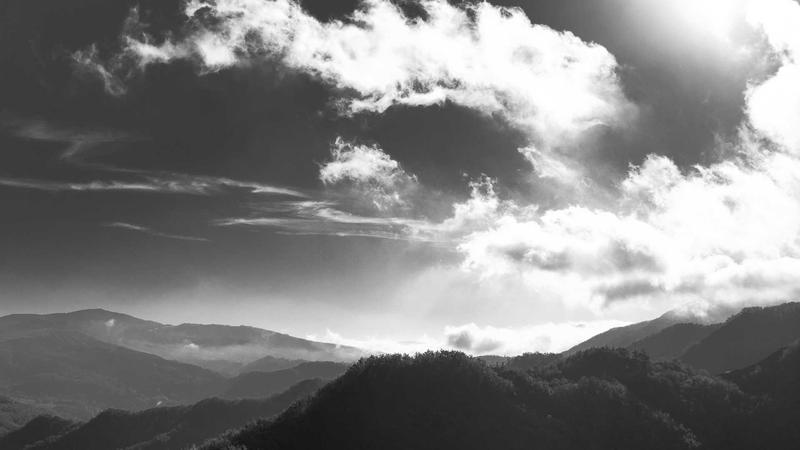 Complete Guide to Reseller Hosting Plans with Unlimited Bandwidth 2025 - illustration 3