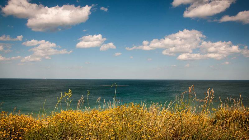 Complete WordPress Hosting Guide 2025: Features & Pricing - illustration 1