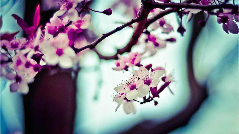 Fastest Web Hosting for WordPress: Speed Test Results 2026 - illustration 2