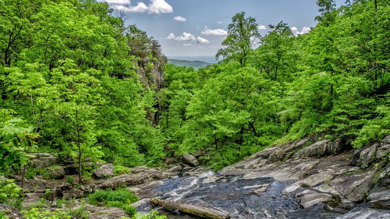 Hosting Comparisons - illustration 1