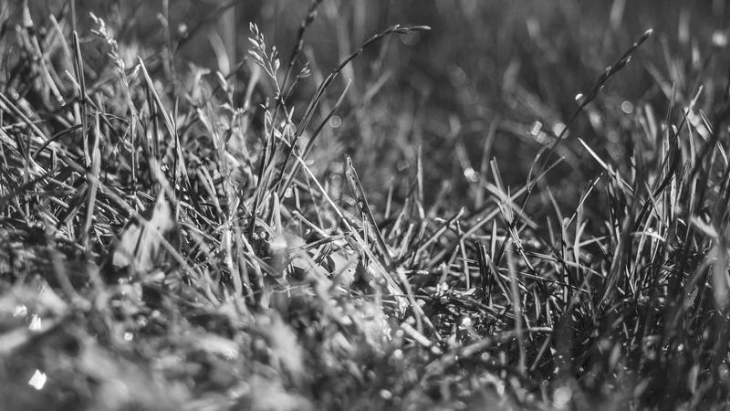 Hosting Reviews - illustration 1