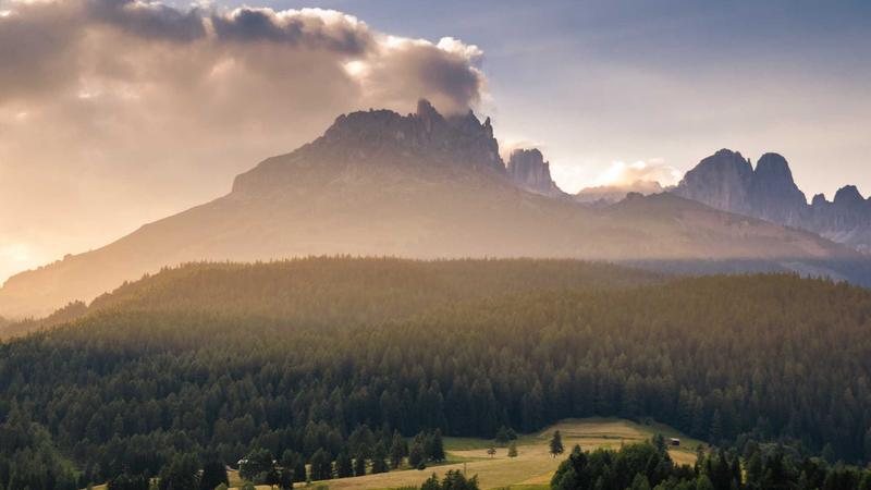 Hosting Reviews - illustration 3