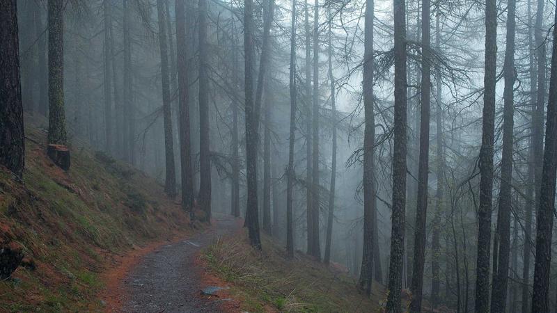 Hostinger Review: Honest Pros and Cons After 12 Months of Testing - illustration 1