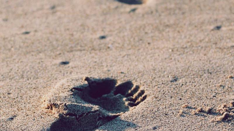 Hostinger Review: Honest Pros and Cons After 12 Months of Testing - illustration 2