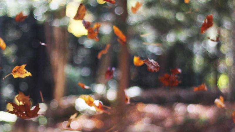 Kubernetes Cloud Hosting vs Traditional Hosting: Performance Comparison 2026 - illustration 3