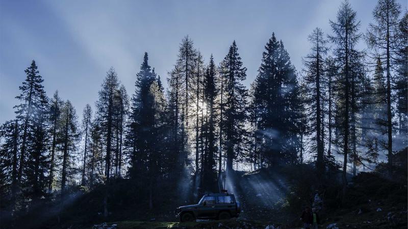 Microsoft 365 vs Google Workspace Email Hosting: 2026 Comparison - illustration 1