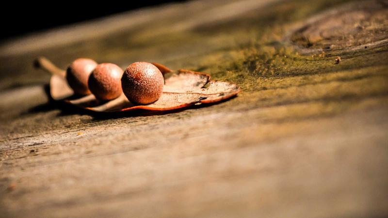 Shared Hosting Security Guide 2026: Protect Your Website Easily - illustration 3