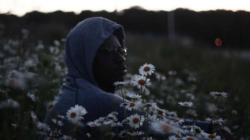 Shared Hosting vs VPS Hosting: Which is Better for WordPress in 2026? - illustration 1