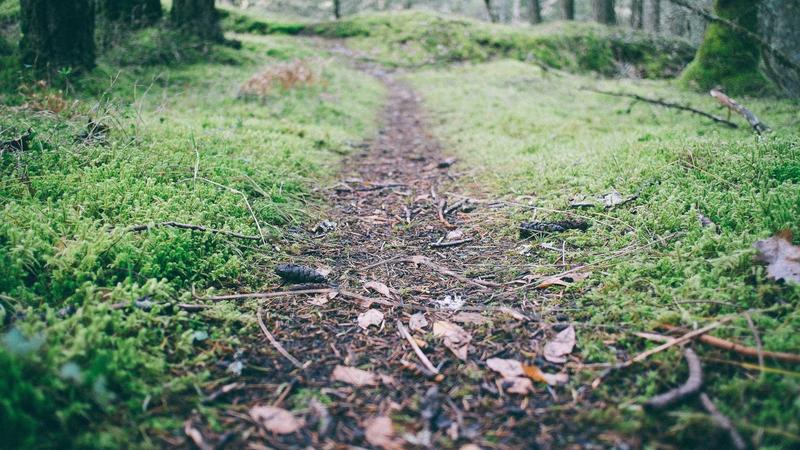 Shared vs VPS Hosting: Which Do You Actually Need? - illustration 3