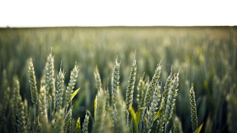 Top 10 Cloud Hosting Providers for E-commerce Sites in 2026 - illustration 3