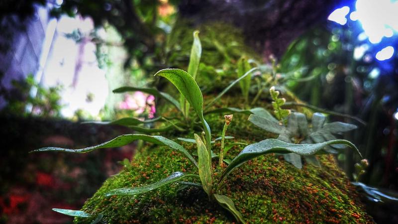 Top 10 Managed WordPress Hosting Providers to Try in 2026 - illustration 3