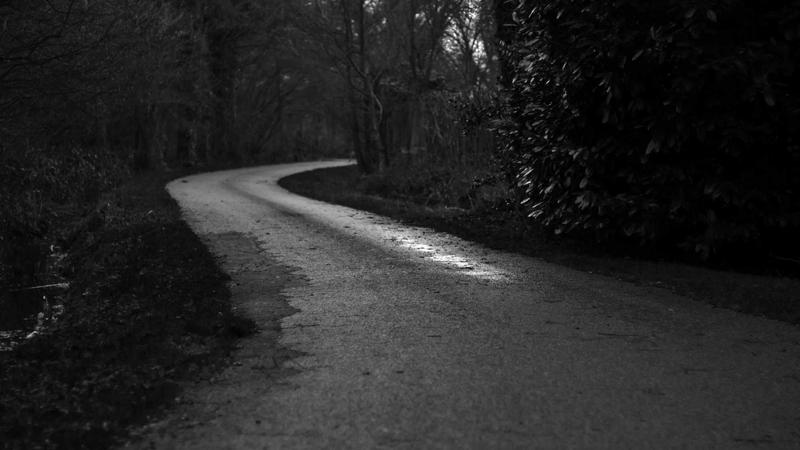 Types of Hosting - illustration 2