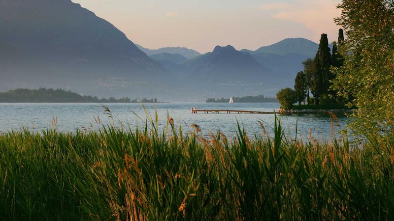 Ultimate Dedicated Server Security Guide 2026: Protect Your Data - illustration 1