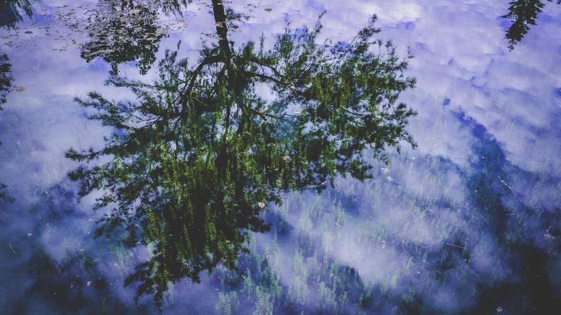 VPS Hosting - illustration 3