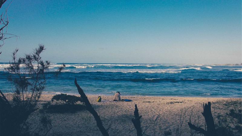 VPS Hosting vs Shared Hosting in 2025: Which One Suits Your Needs? - illustration 2