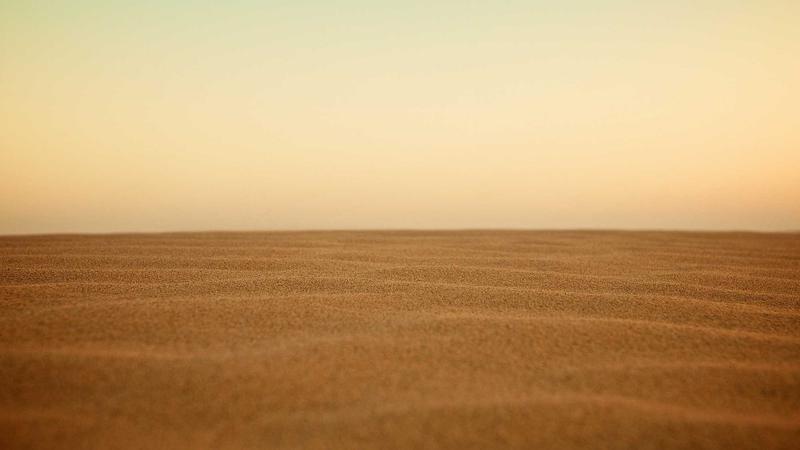 VPS Hosting vs Shared Hosting in 2025: Which One Suits Your Needs? - illustration 3