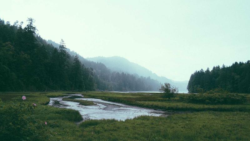 What Is Managed WordPress Hosting? Everything You Need to Know - illustration 1