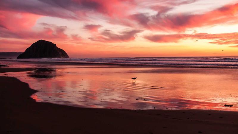 Why Unlimited Bandwidth in Shared Hosting Plans Matters in 2025 - illustration 3