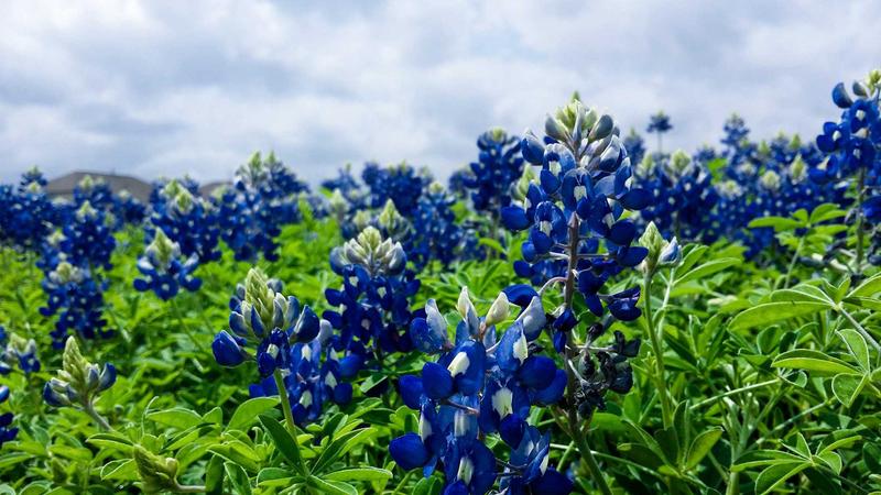 WP Engine vs Kinsta: The Ultimate Managed Hosting Showdown - illustration 1